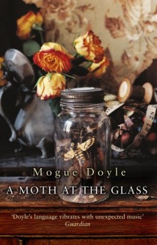 A Moth at the Glass Book Cover