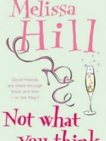 Not What You Think by Melissa Hill