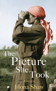The Picture She Took Book Cover